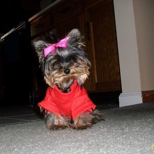 Meet your Posher, Jane